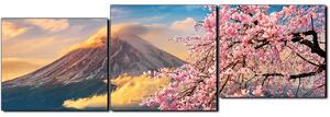 Obraz na plátne - Hora Fuji a čerešňové kvety na jar - panoráma 5266E (150x50 cm)