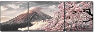 Obraz na plátne - Hora Fuji a čerešňové kvety na jar - panoráma 5266QC (150x50 cm)