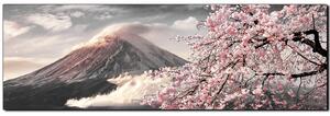 Obraz na plátne - Hora Fuji a čerešňové kvety na jar - panoráma 5266QA (105x35 cm)