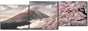Obraz na plátne - Hora Fuji a čerešňové kvety na jar - panoráma 5266QE (150x50 cm)