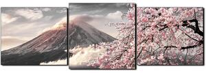 Obraz na plátne - Hora Fuji a čerešňové kvety na jar - panoráma 5266QD (120x40 cm)