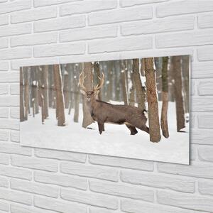 Nástenný panel  Jeleň zimné les 100x50 cm