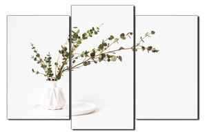 Obraz na plátne - Vetva eukalyptu v bielej váze na bielom pozadí 1272C (90x60 cm)