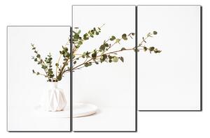 Obraz na plátne - Vetva eukalyptu v bielej váze na bielom pozadí 1272D (120x80 cm)