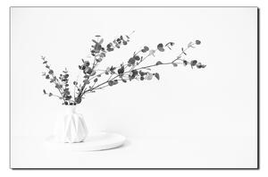 Obraz na plátne - Vetva eukalyptu v bielej váze na bielom pozadí 1272QA (100x70 cm)