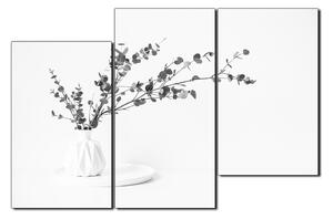 Obraz na plátne - Vetva eukalyptu v bielej váze na bielom pozadí 1272QD (90x60 cm)