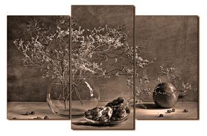 Obraz na plátne - Zátišie - vetva a granátové jablko 1274FC (150x100 cm)