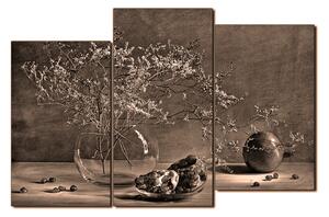 Obraz na plátne - Zátišie - vetva a granátové jablko 1274FD (90x60 cm)
