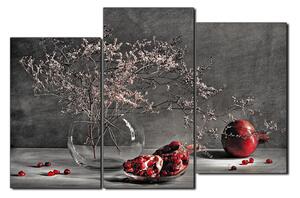 Obraz na plátne - Zátišie - vetva a granátové jablko 1274QD (105x70 cm)