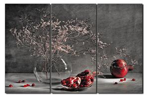 Obraz na plátne - Zátišie - vetva a granátové jablko 1274QB (90x60 cm )
