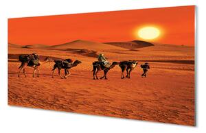 Nástenný panel  Ťavy ľudí púštne slnko neba 100x50 cm