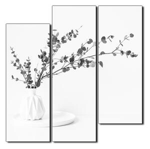 Obraz na plátne - Vetva eukalyptu v bielej váze na bielom pozadí - štvorec 3272QD (75x75 cm)