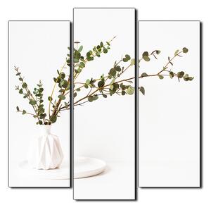 Obraz na plátne - Vetva eukalyptu v bielej váze na bielom pozadí - štvorec 3272C (75x75 cm)