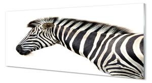 Sklenený obraz zebra 120x60 cm 2 Prívesky