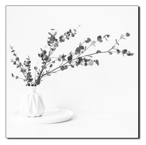 Obraz na plátne - Vetva eukalyptu v bielej váze na bielom pozadí - štvorec 3272QA (50x50 cm)