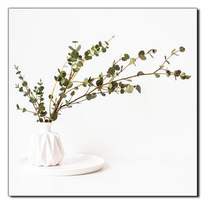 Obraz na plátne - Vetva eukalyptu v bielej váze na bielom pozadí - štvorec 3272A (50x50 cm)