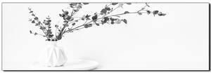 Obraz na plátne - Vetva eukalyptu v bielej váze na bielom pozadí - panoráma 5272QA (105x35 cm)
