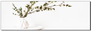 Obraz na plátne - Vetva eukalyptu v bielej váze na bielom pozadí - panoráma 5272A (105x35 cm)