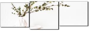 Obraz na plátne - Vetva eukalyptu v bielej váze na bielom pozadí - panoráma 5272D (150x50 cm)