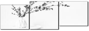 Obraz na plátne - Vetva eukalyptu v bielej váze na bielom pozadí - panoráma 5272QE (150x50 cm)