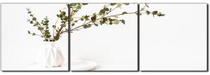 Obraz na plátne - Vetva eukalyptu v bielej váze na bielom pozadí - panoráma 5272B (90x30 cm)