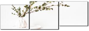Obraz na plátne - Vetva eukalyptu v bielej váze na bielom pozadí - panoráma 5272E (90x30 cm)