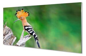 Nástenný panel  Strom farebný papagáj 100x50 cm