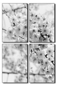 Obraz na plátne - Čerešňový kvet - obdĺžnik 7279QE (90x60 cm)