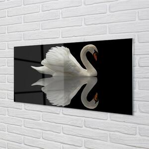 Nástenný panel  Swan v noci 100x50 cm