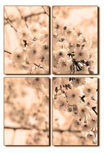 Obraz na plátne - Čerešňový kvet - obdĺžnik 7279FE (90x60 cm)
