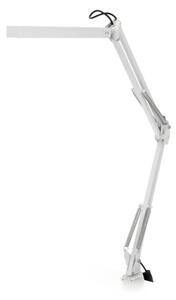 LED Stmievateľná stolná lampa 2v1 USB TENUIX LED/14W/5V 3000-6000K biela