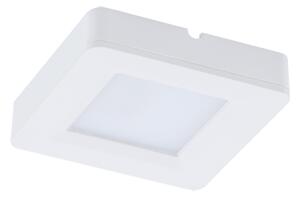 Strühm Stropné svietidlo IGA LED D WHITE Neutral White 17019