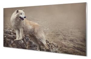 Nástenný panel  vlk hory 100x50 cm