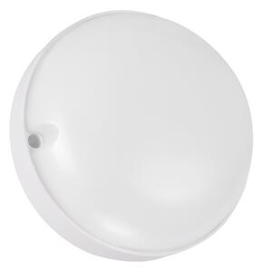 Strühm Nástenné svietidlo MARKUS LED C 7W Neutral White 16638