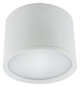 Strühm Stropné bodové prisadené svietidlo ROLEN LED 7W WHITE Neutral White 3108