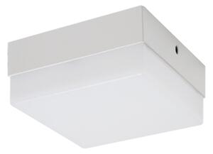 Strühm Prisadené stropné svietidlo ROBIN LED D 12W Neutral White 16337