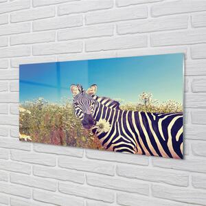 Sklenený obraz zebra kvety 140x70 cm 2 Prívesky