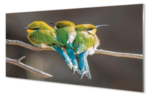 Nástenný panel  Vtáky na vetve 100x50 cm