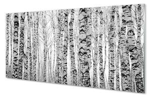Nástenný panel  Čierna a biela breza 100x50 cm