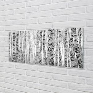 Sklenený obraz Čierna a biela breza 140x70 cm 2 Prívesky
