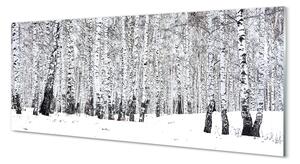 Sklenený obraz zimný brezy 120x60 cm 2 Prívesky
