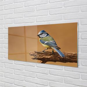 Nástenný panel  Vták 100x50 cm