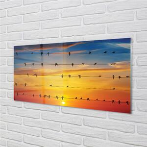 Nástenný panel  Vtáky na lanách západu slnka 100x50 cm