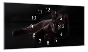 Nástenné hodiny mačka 30x60cm V - plexi