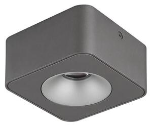 Globo 43100-1 - LED Stropné svietidlo HANGARAU LED/6,5W/230V 11,7x11,7 cm