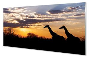 Nástenný panel  Žirafy strom mraky 100x50 cm