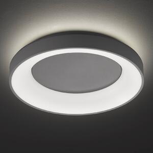 Stropné LED svetlo Shay, sivá, Ø 59 cm