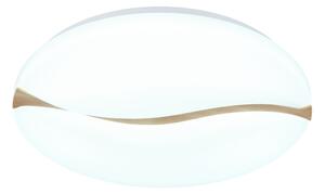 Globo 41790-18 - LED stropné svietidlo LETICIA LED/24W/230V pr. 33 cm
