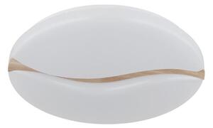 Globo 41790-18 - LED stropné svietidlo LETICIA LED/24W/230V pr. 33 cm
