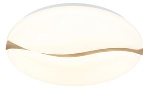 Globo 41790-18 - LED stropné svietidlo LETICIA LED/24W/230V pr. 33 cm